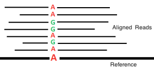 Heterozygous_SNV_call,_from_aligned_NGS_reads